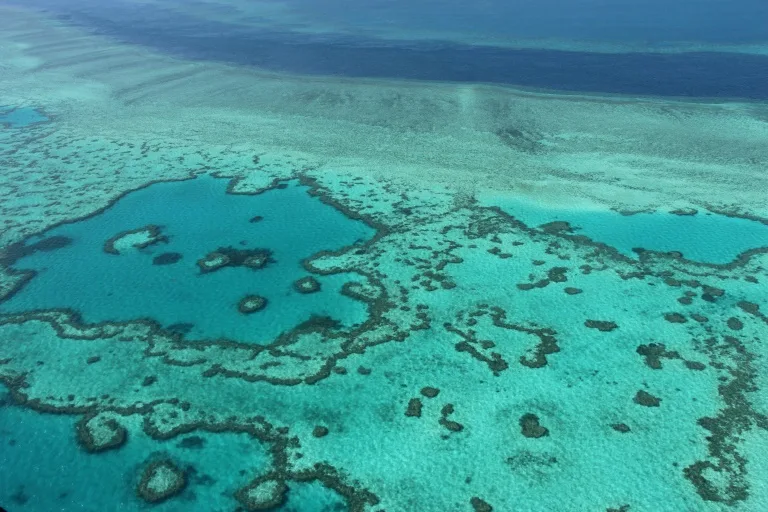 Great Barrier Reef risks 'in danger' World Heritage listing
