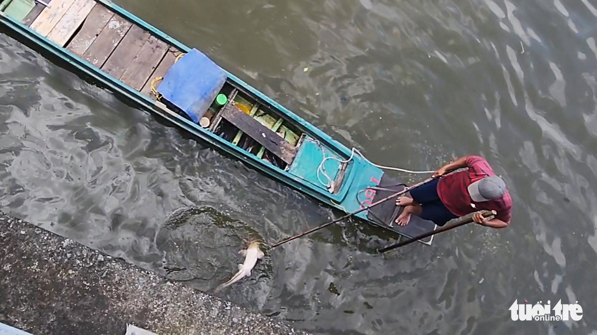 A man electrofishes on Nhieu Loc-Thi Nghe Canal in Ho Chi Minh City, November 29, 2022. Photo: Ngoc Khai / Tuoi Tre