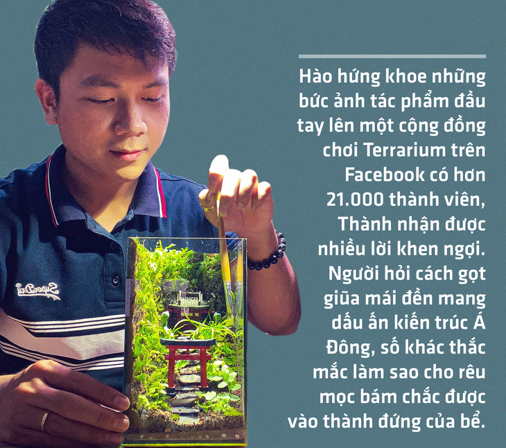 Terrariums a growing trend among Vietnamese nature lovers
