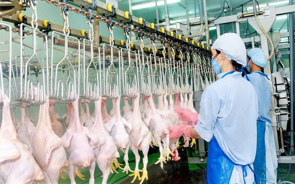 Vietnam faces huge chicken import-export imbalance