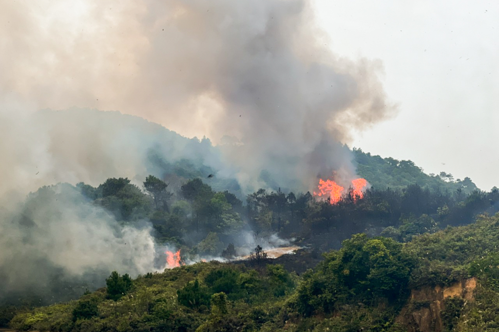 Fire destroys 6ha of forest in northern Vietnam