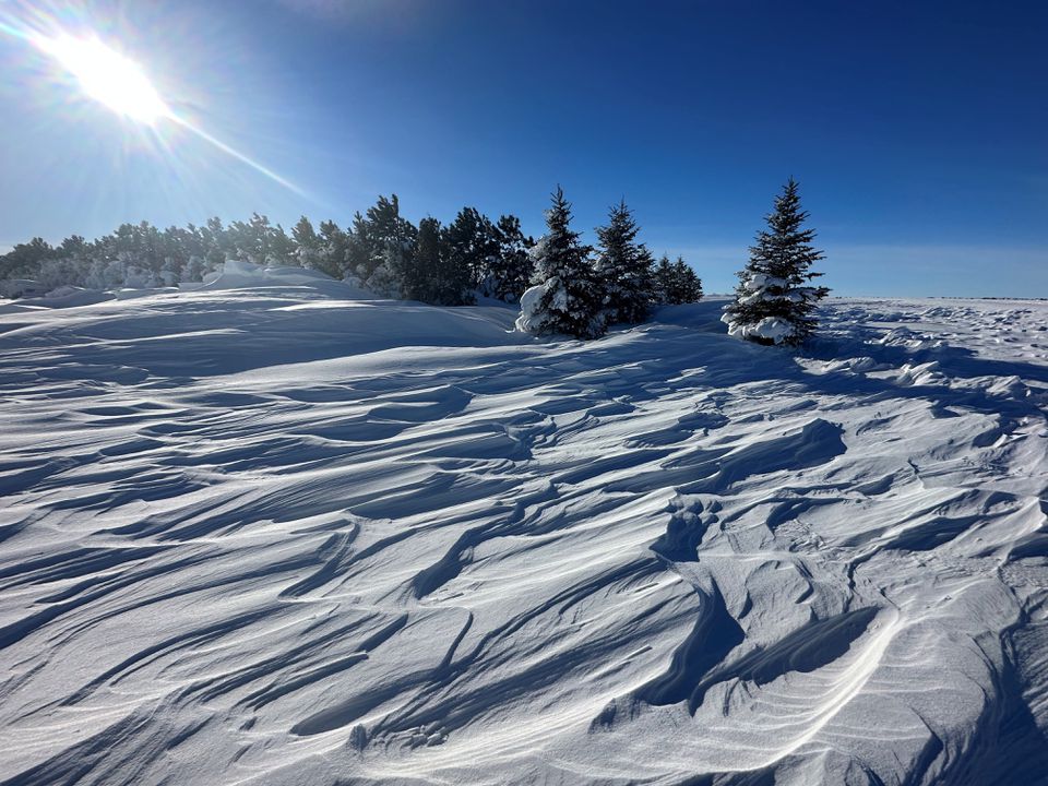 A view of an area after heavy snowfall in Regent, North Dakota, U.S. December 23, 2022, in this picture obtained from social media. Photo: Blake Rafferty/Twitter@BlakeRafferty1/via REUTERS