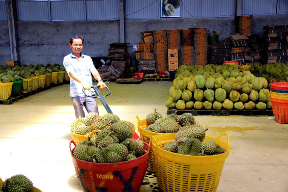 Vietnam’s agro-forestry-fishery exports hit all-time high