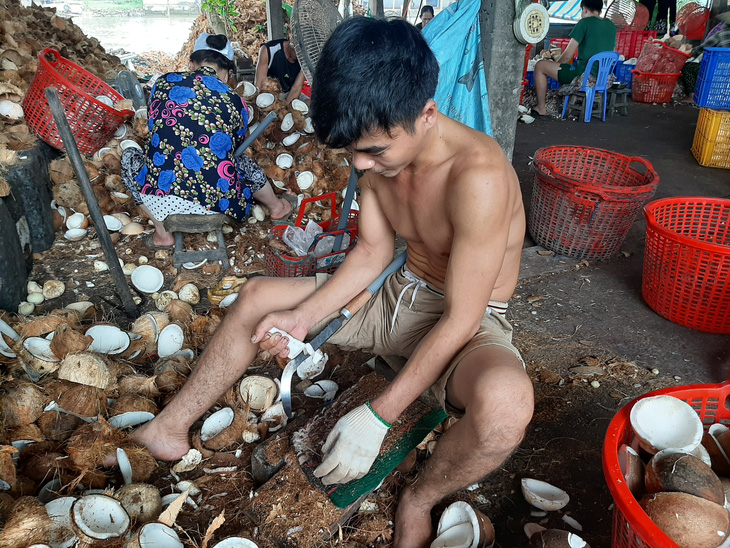 Coconut husking a risky job for seasonal workers in Ben Tre