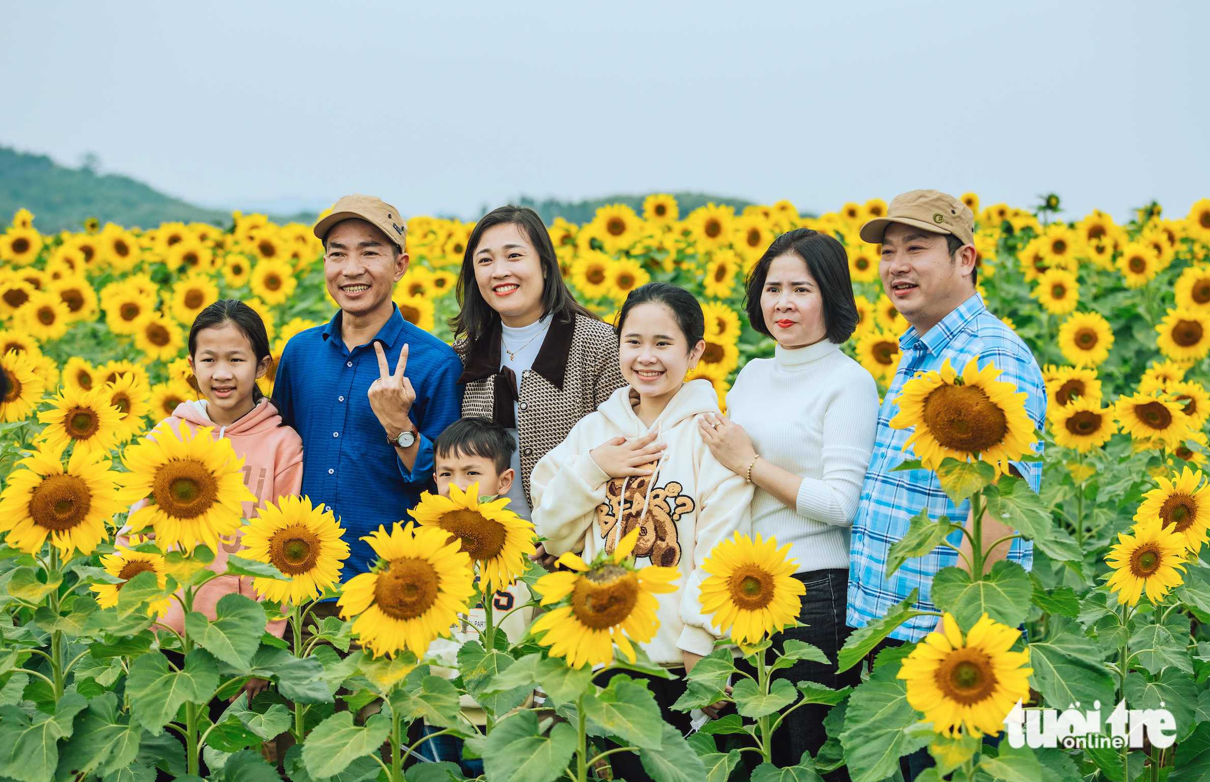 A family with sunflowers in Nghe An Province, Vietnam, January 2, 2022. Photo: Rang Dong / Tuoi Tre