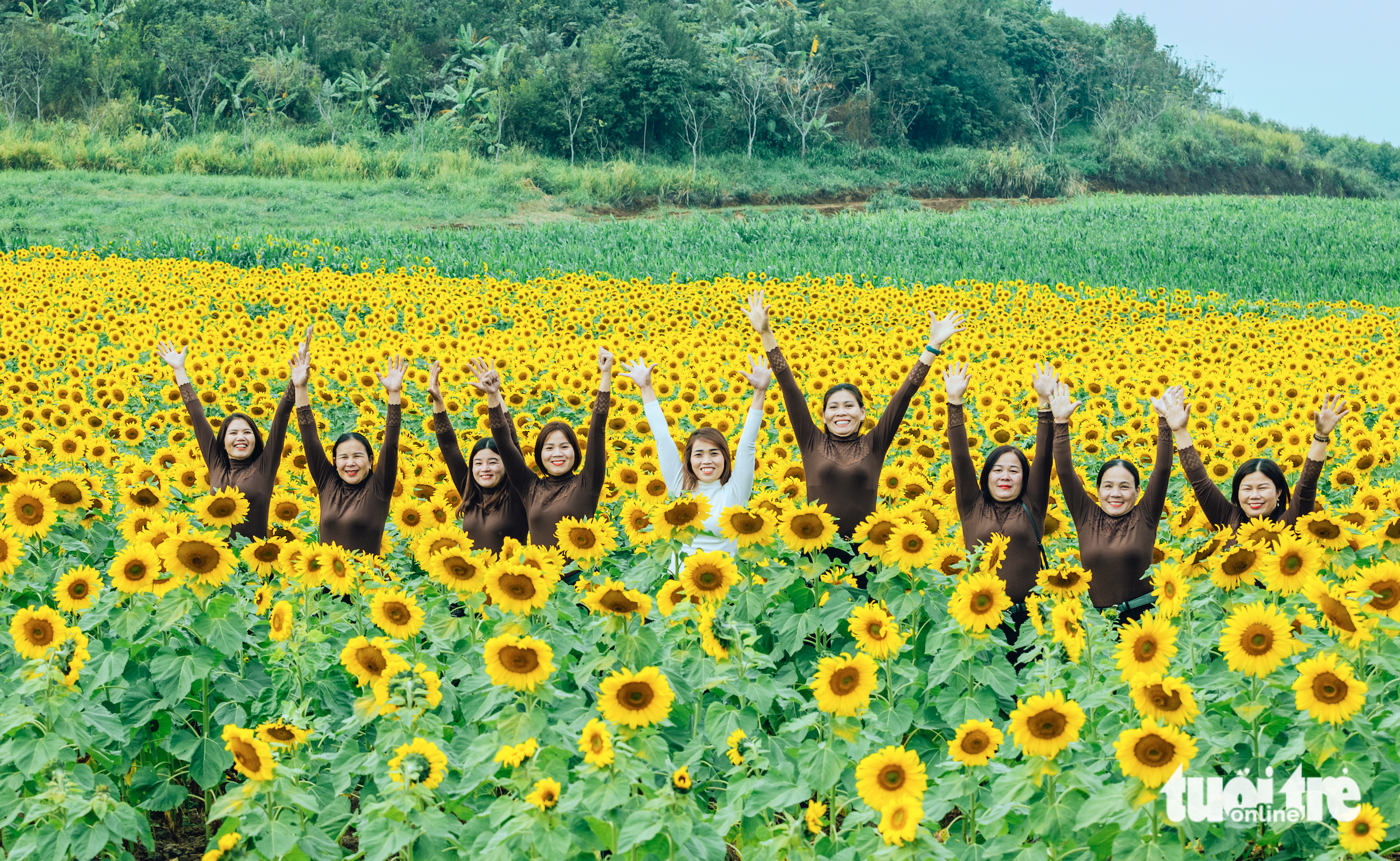 Visitors pose with sunflowers in Nghe An Province, Vietnam, January 2, 2022. Photo: Rang Dong / Tuoi Tre