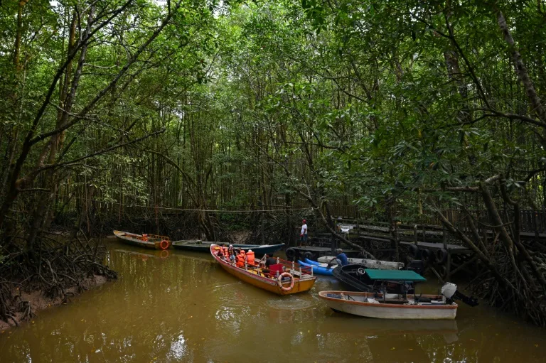 Located in eastern Borneo -- the world's third-largest island -- Nusantara is set to replace sinking and polluted Jakarta as Indonesia's political centre by late 2024. Photo: AFP