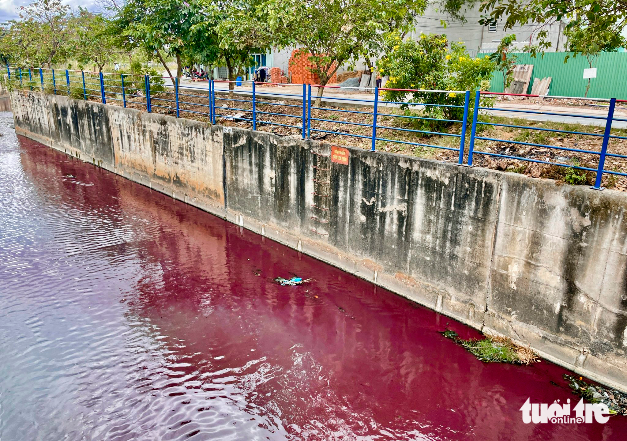 Water of the Nhum Stream canal turns red in Linh Trung Ward, Thu Duc City, Ho Chi Minh City, January 9, 2023. Photo: Chau Tuan / Tuoi Tre