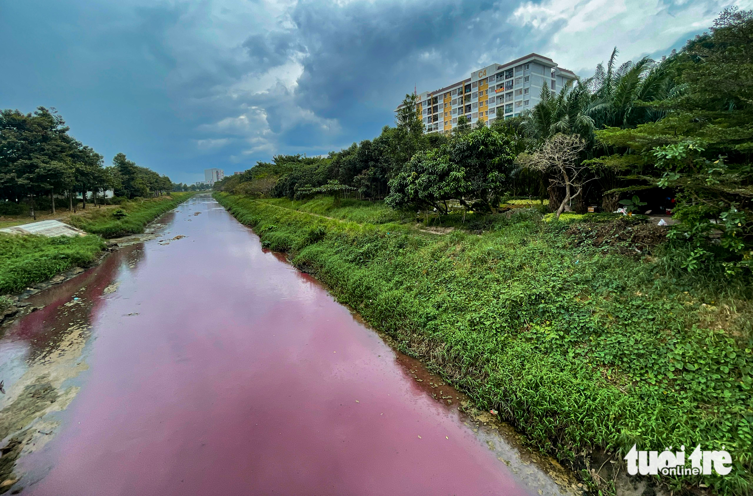 Foul-smelling water leaves crimson stains in Ho Chi Minh City canal