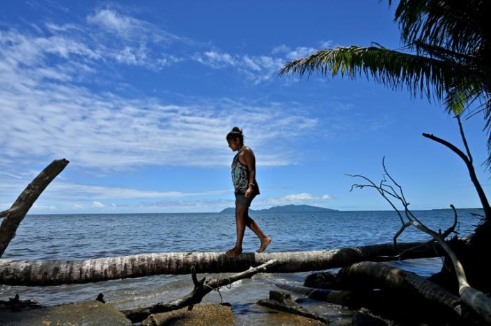 This picture taken on December 13, 2022 shows a youth walking on the trunk of a coconut palm past erosion at a village in the coastal town of Togoru, some 35 kilometres from Fijis capital city Suva. Photo: AFP