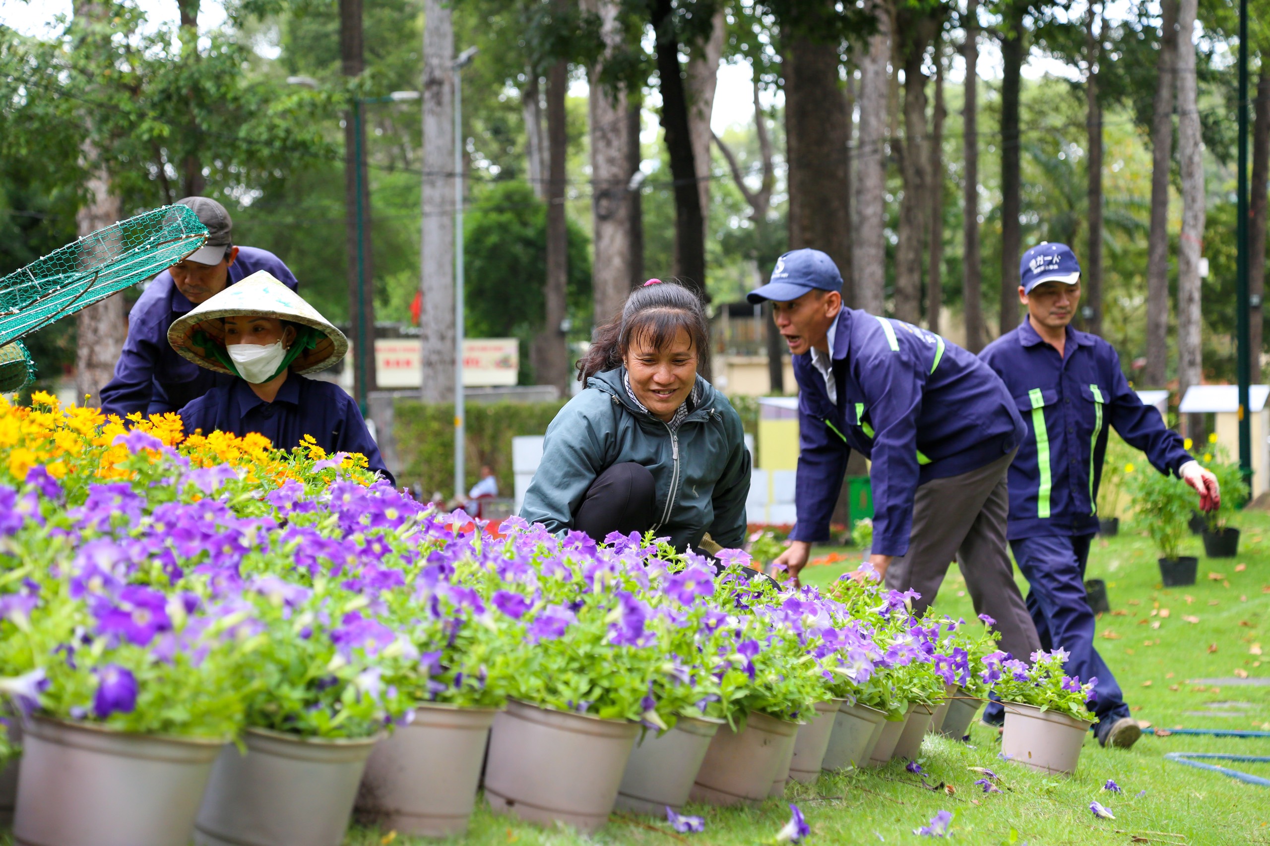 Park workers tend to flower pots at the Spring Flower Festival 2023 in Tao Dan Park in District 1, Ho Chi Minh City, January 11, 2023. Photo: Tuoi Tre
