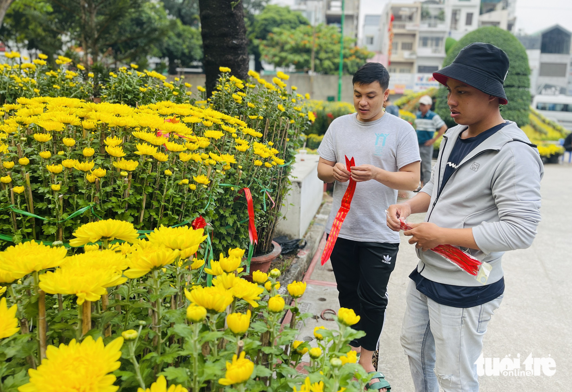 Ho Chi Minh City inaugurates spring flower markets