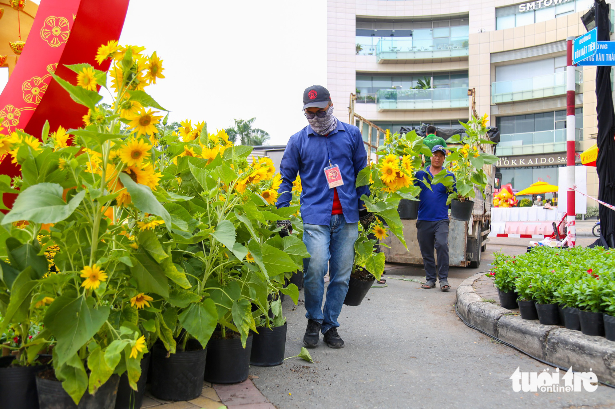 Flower pots are continuously transported to the flower road so that workers can complete miniatures before the official opening of the flower festival. Photo: Phuong Quyen / Tuoi Tre