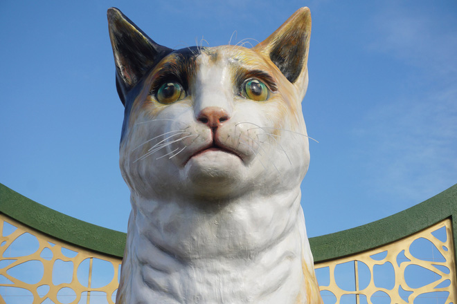 The face of the cat statue is supposed to be cool and contemplative, while many netizens say it is sad. Photo: Doan Nhan / Tuoi Tre