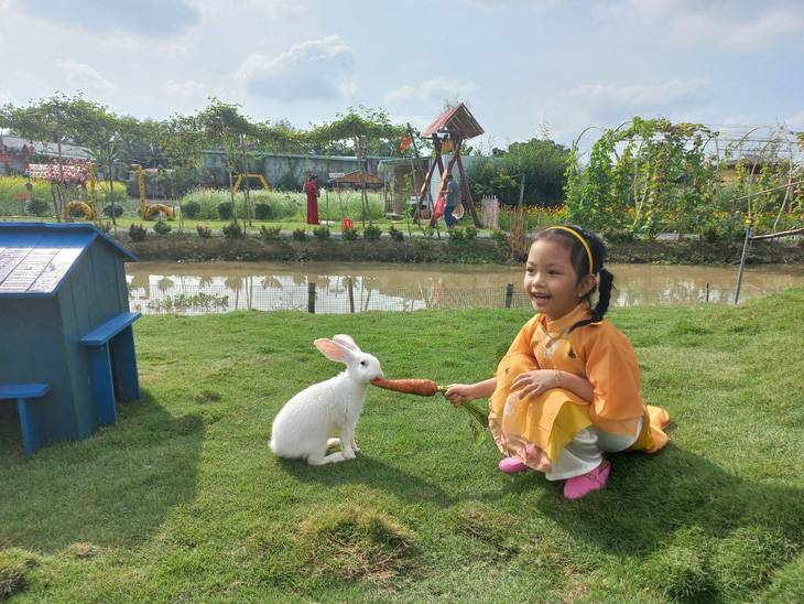 A child feeds a rabbit at the Tam Giac Mach Farm in Cai Rang District, Can Tho City, Vietnam’s Mekong Delta, on January 22, 2023. Photo: Lan Ngoc / Tuoi Tre