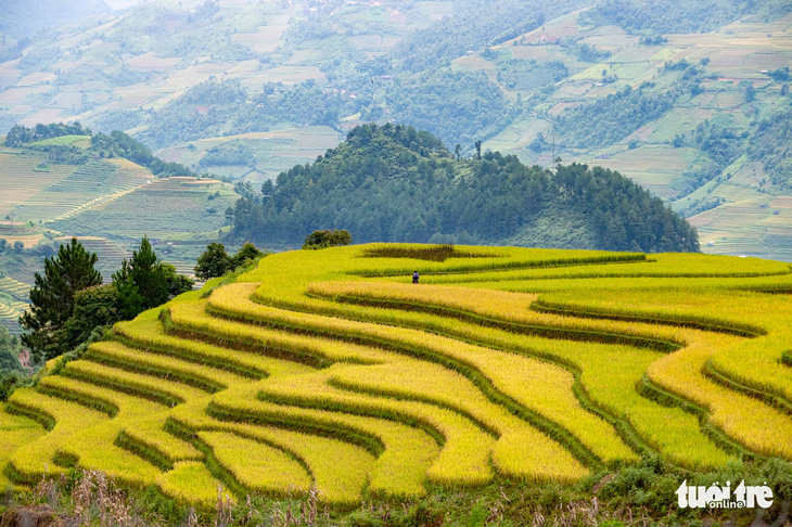 Vietnams Mu Cang Chai Rice Terraces Ha Long Bay Among Worlds Most Brilliant Places Condé 3064