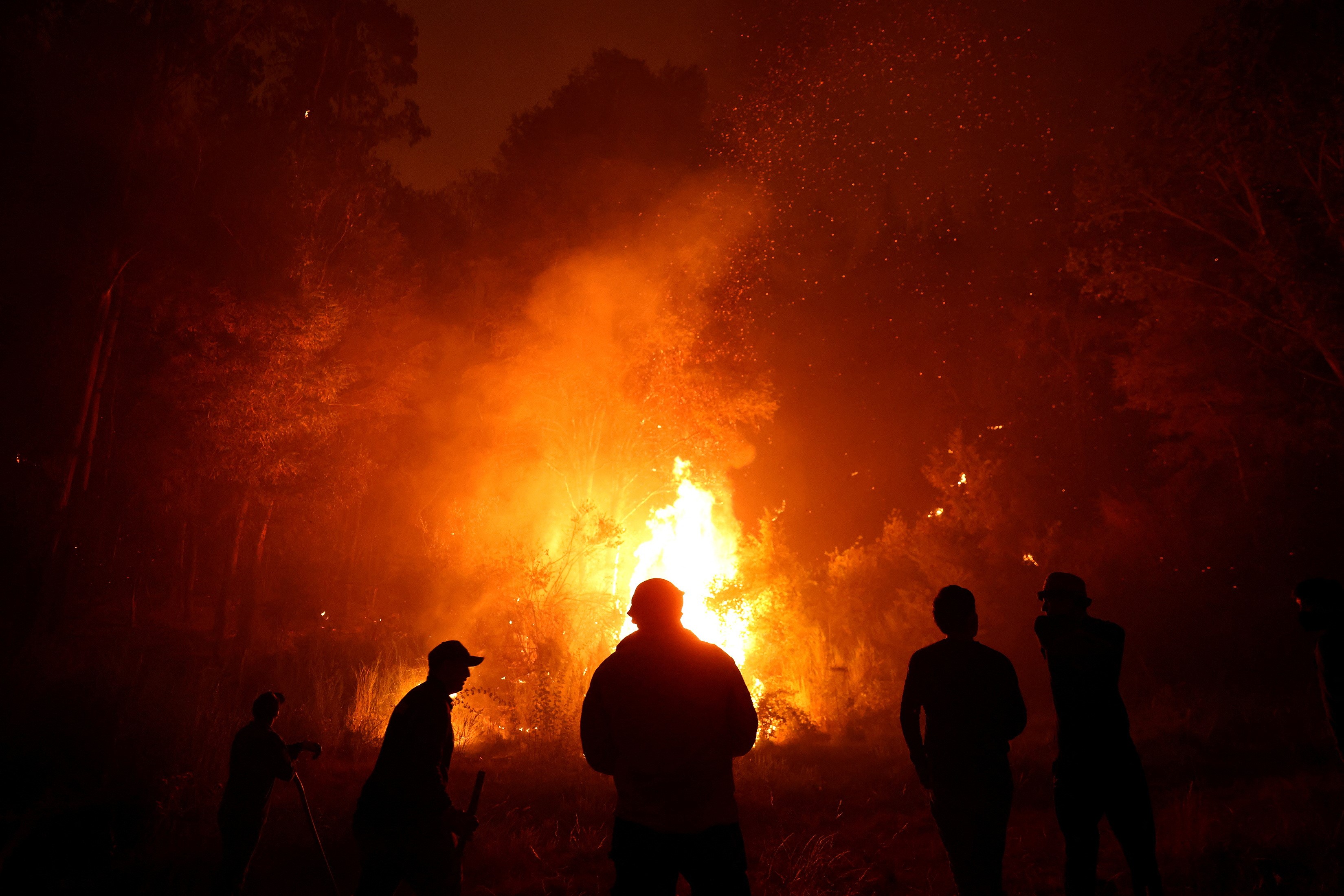 A wildfire burns areas in Nacimiento, Chile, February 7, 2023. Photo: Reuters