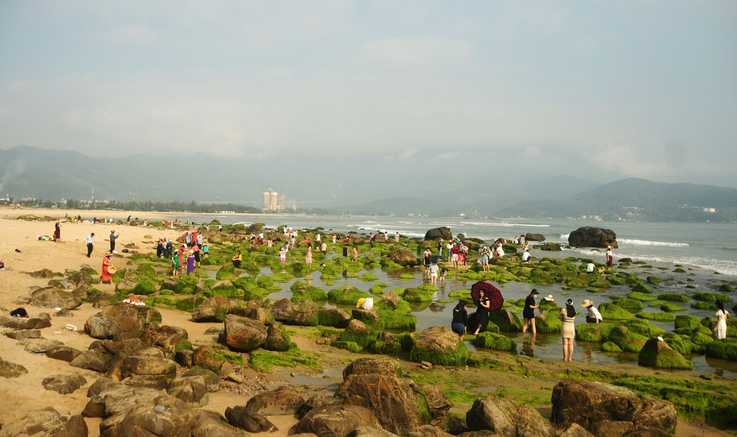 The Nam O Beach in Da Nang City, central Vietnam is packed with people taking photos with the moss-covered rocks there, February 11, 2023. Photo: B.D. / Tuoi Tre
