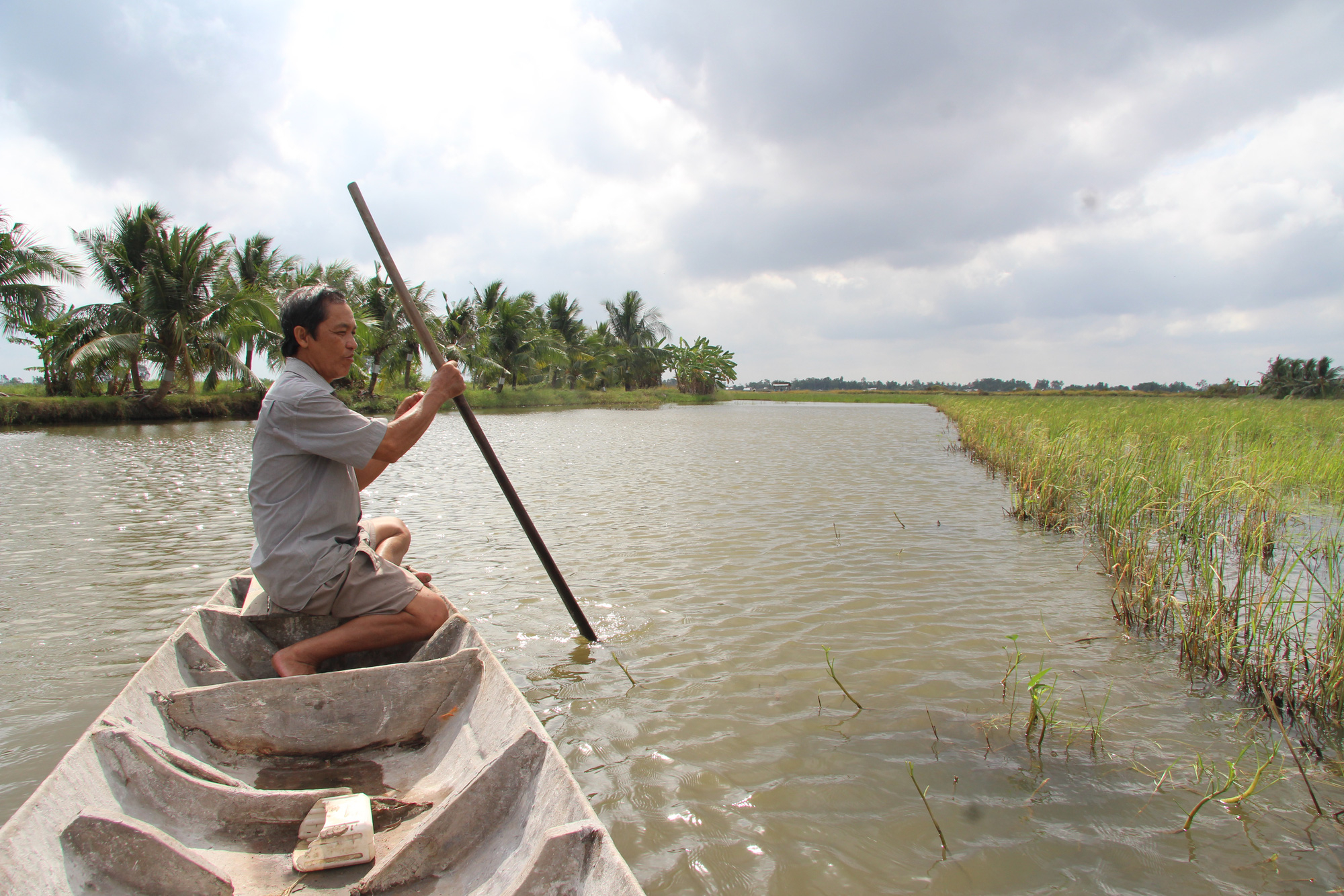 Vietnam’s Mekong Delta provinces struggling with saltwater intrusion