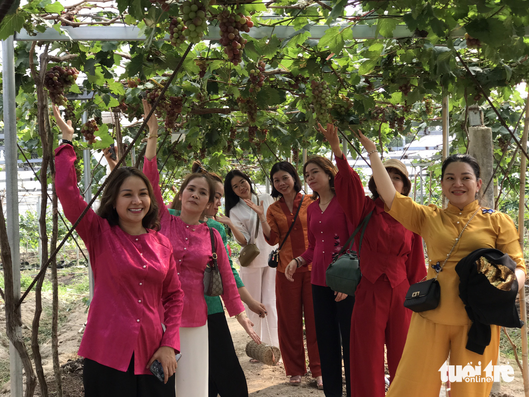Visitors to a grape orchard in Tri Ton District, An Giang Province pose for a group photo. Photo: Dang Tuyet / Tuoi Tre