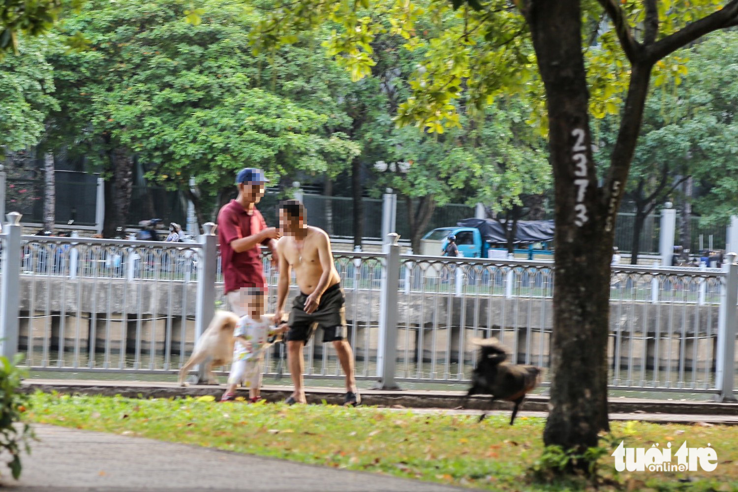 Unmuzzled dogs are pictured along Nhieu Loc-Thi Nghe Canal in Binh Thanh District, Ho Chi Minh City. Photo: Phuong Quyen / Tuoi Tre