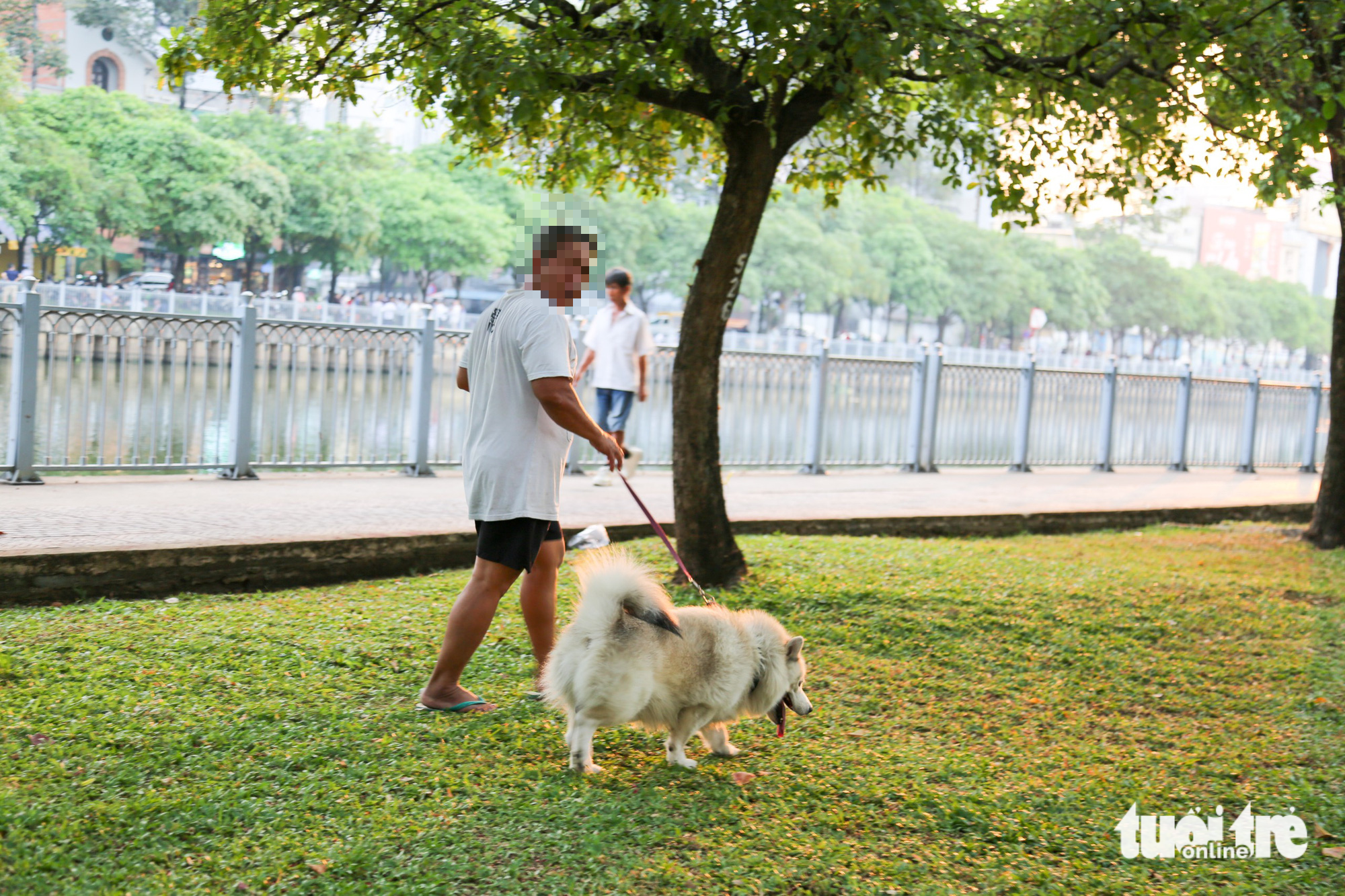 A person takes a dog to poop at the green space along Nhieu Loc-Thi Nghe Canal in Phu Nhuan District, Ho Chi Minh City. Photo: Phuong Quyen / Tuoi Tre