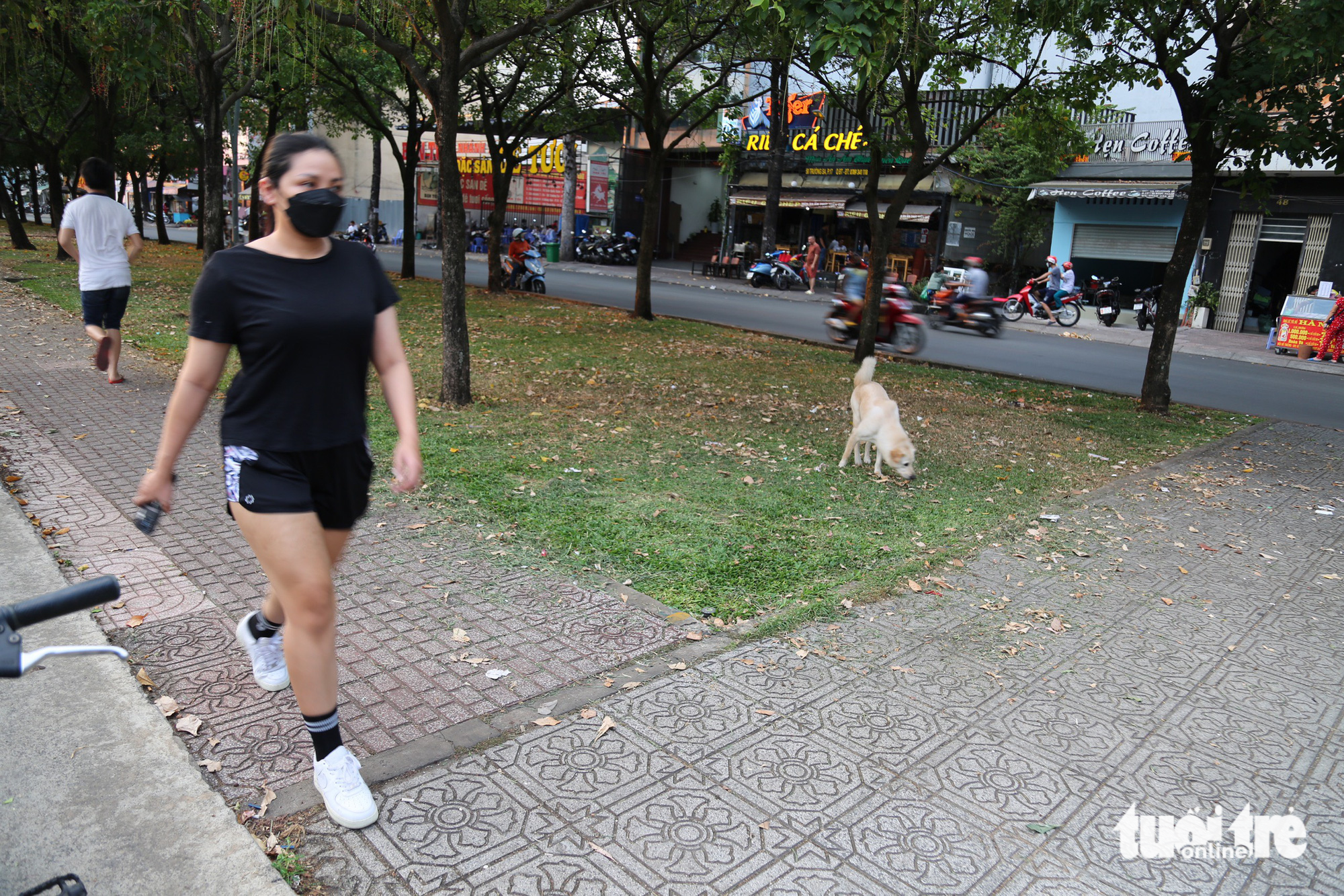 People walk past a dog, which is pooping in tree shade along Nhieu Loc-Thi Nghe Canal in Binh Thanh District, Ho Chi Minh City. Photo: Phuong Quyen / Tuoi Tre