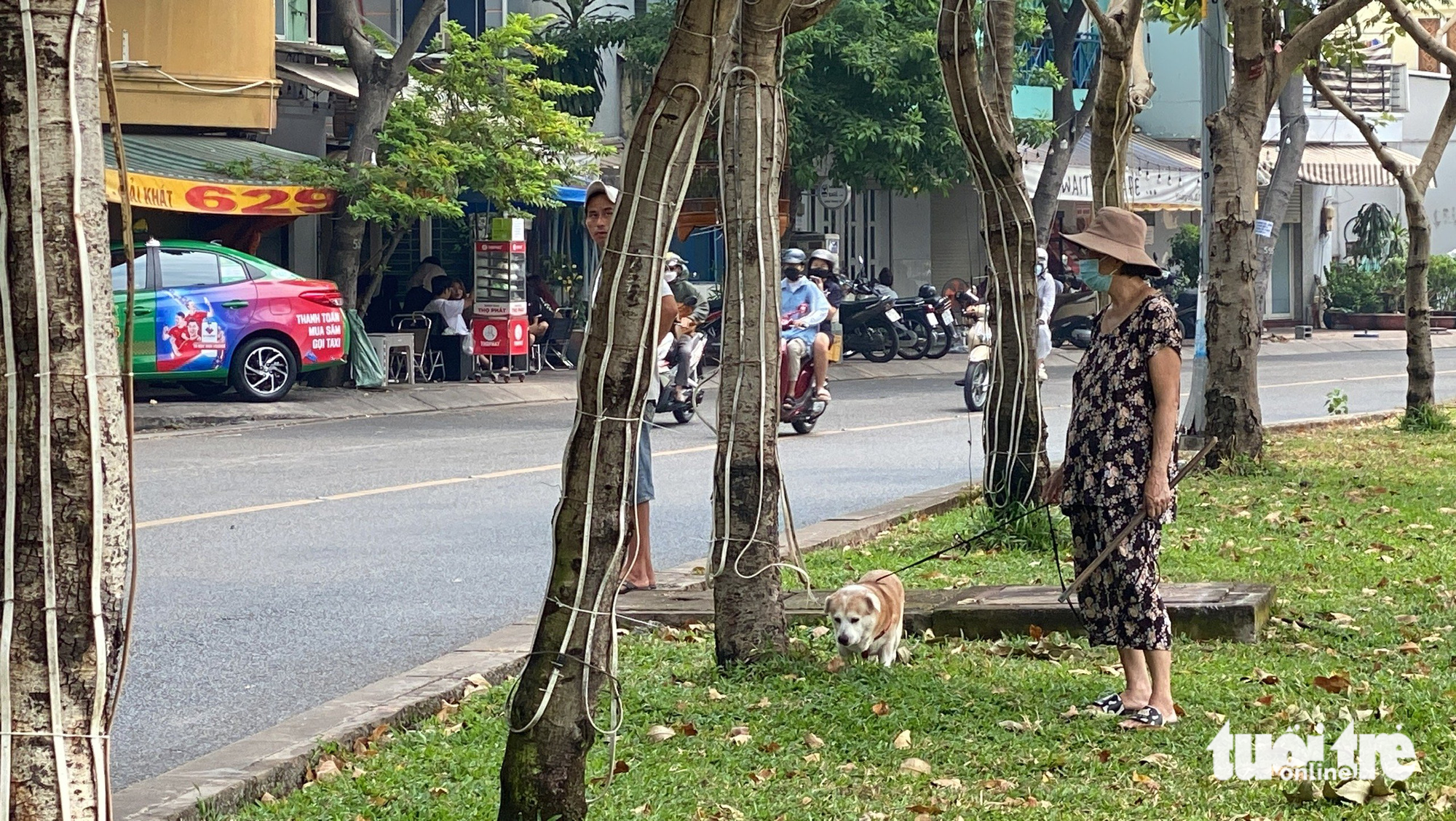 A person takes a dog to poop at the green space along Nhieu Loc-Thi Nghe Canal in Phu Nhuan District, Ho Chi Minh City. Photo: Tu Trung / Tuoi Tre