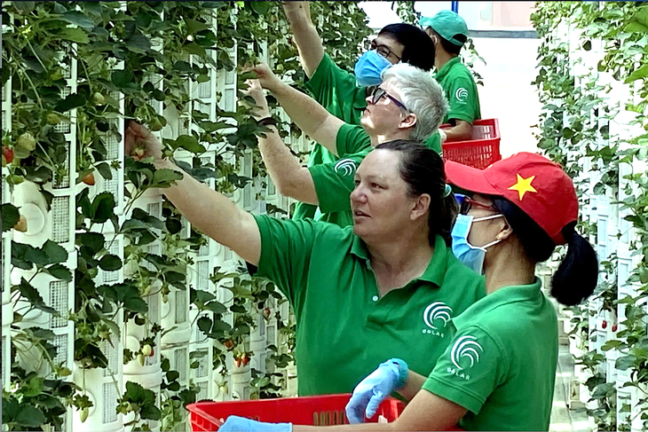 Australian scientist dreams to serve Vietnamese with quality vegetables