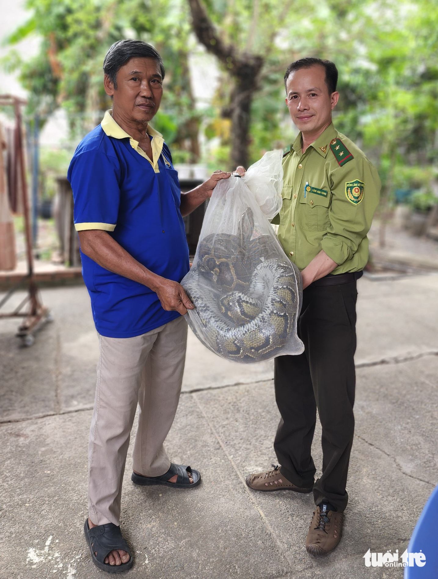 Nguyen Thanh Phi hands over his python to forest protection officers in Ho Chi Minh City. Photo: Ngoc Khai / Tuoi Tre
