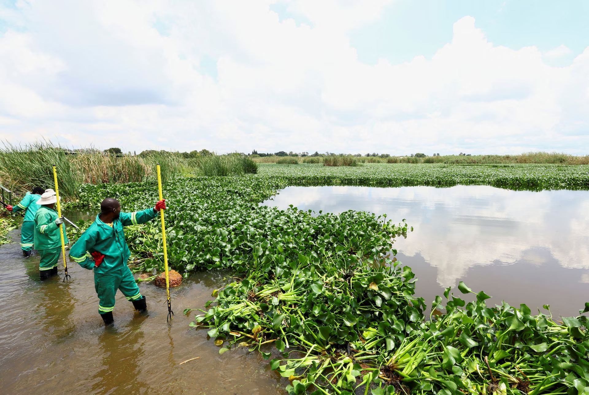 Municipal workers take a break as they clear off hyacinth weed at the Grootvaly Blesbokspruit wetland reserve, near Springs, in the east of Johannesburg, in South Africa, February 15, 2023. Photo: Reuters