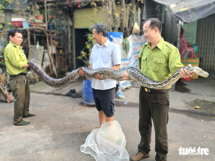 Resident hands over 38kg python to forest rangers in Ho Chi Minh City