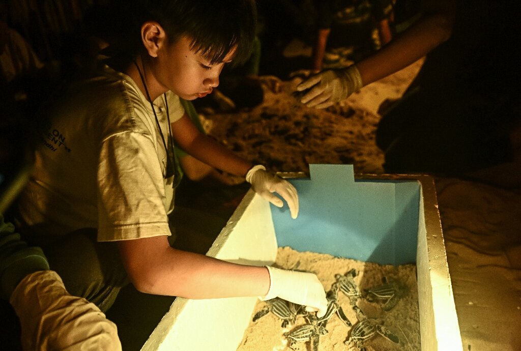 Bangkok secondary school pupil Prin Uthaisangchai is producing a short documentary about leatherback turtles to raise conservation awareness. Photo: AFP