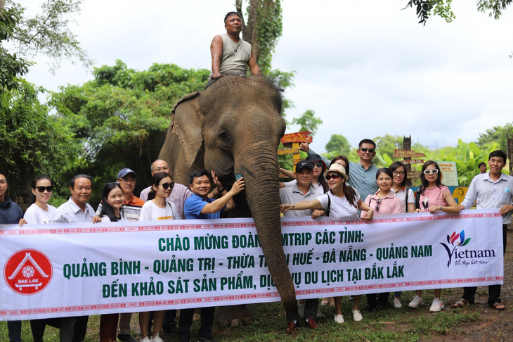 A group of tourists from central Vietnam show excitement at the switch from riding elephants to posing with them at the Buon Don Tourist Center. Photo: Trung Tan / Tuoi Tre