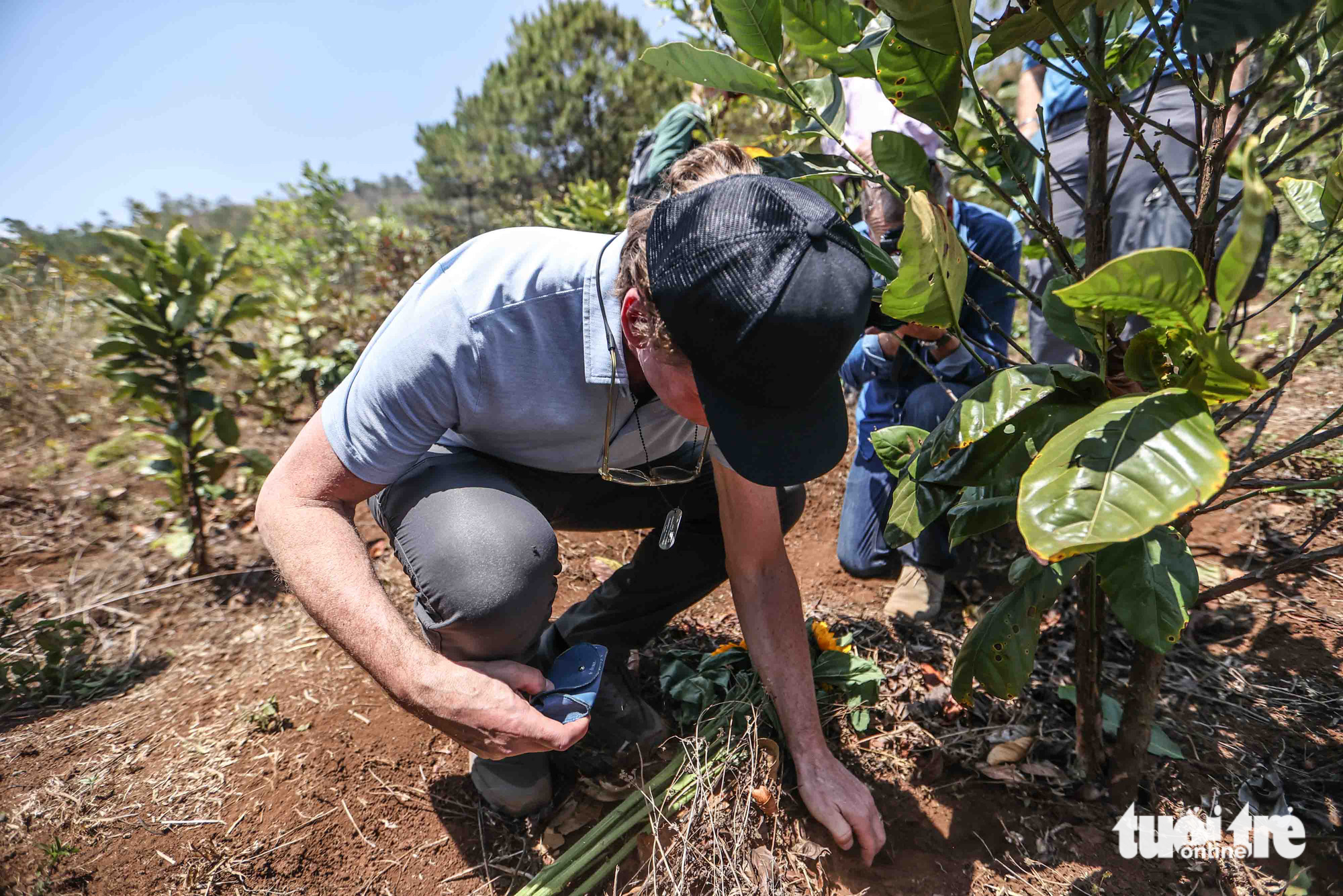 Dean Phillips buries some photos of his family under a coffee tree on Ham Rong Mountain. Photo: Nguyen Khanh / Tuoi Tre
