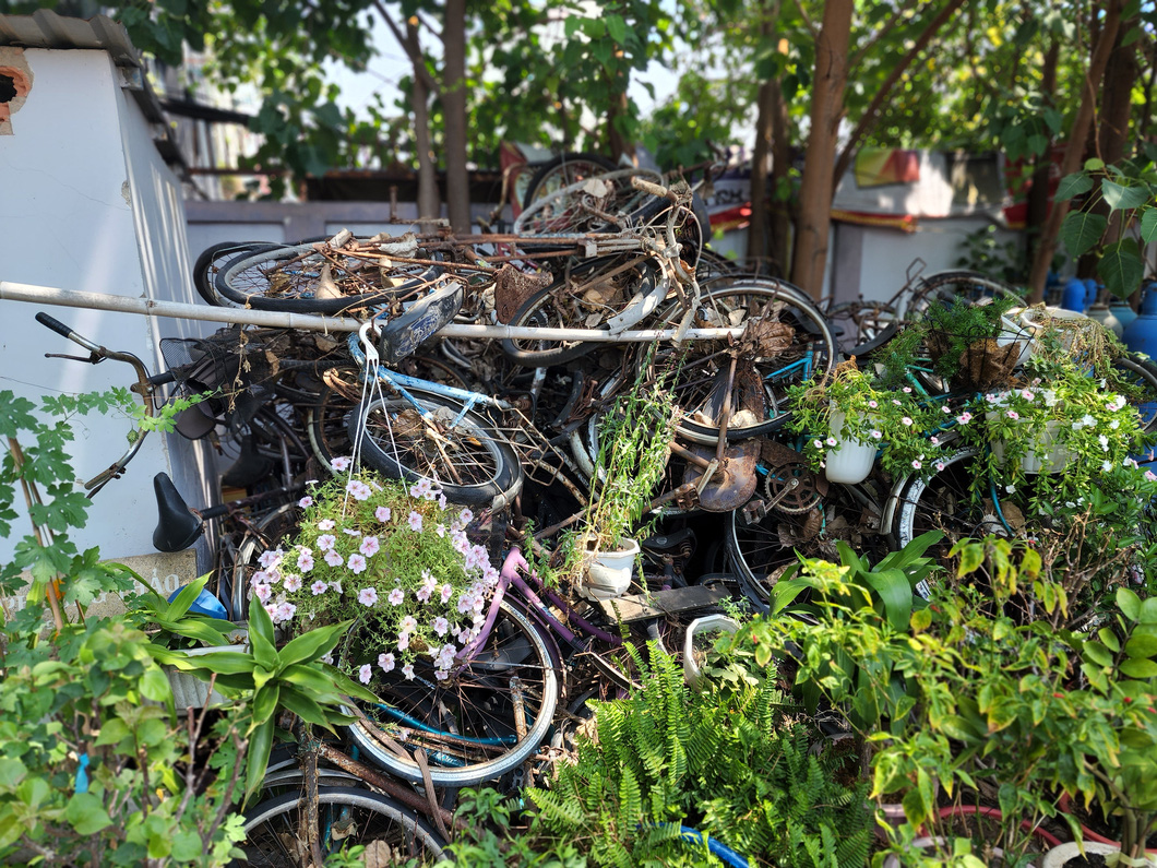 Bicycles with low values pile up at an impoundment area in Ho Chi Minh City. They have rusted and contorted. Photo: Ngoc Khai / Tuoi Tre