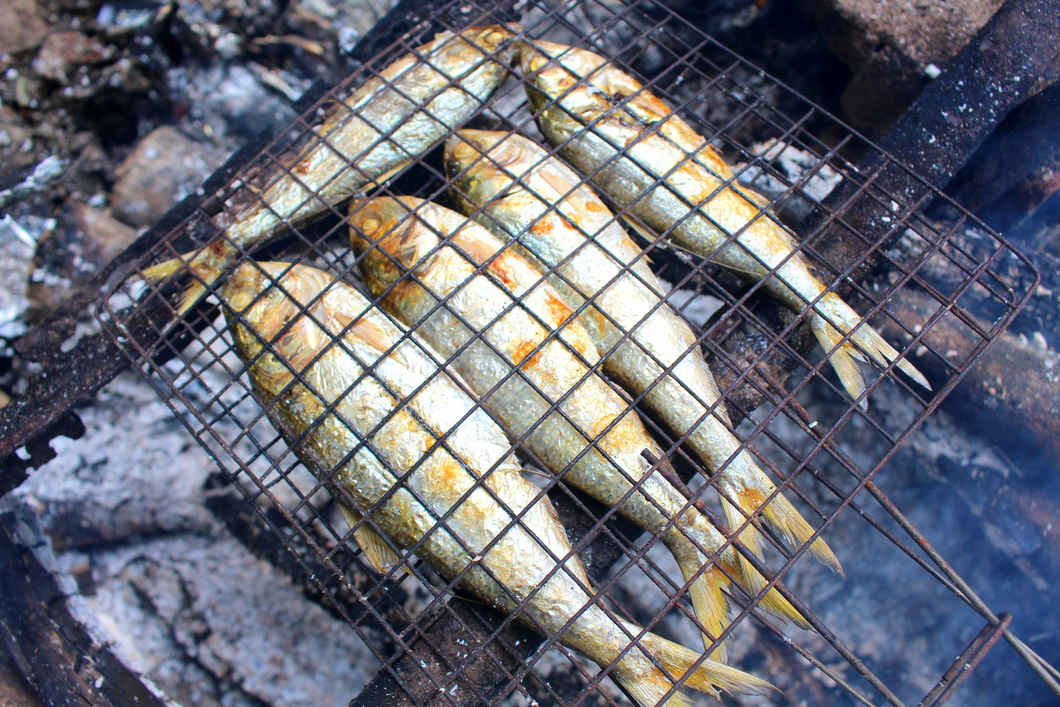 Grilled sardines. Photo: Hoa Vang / Tuoi Tre