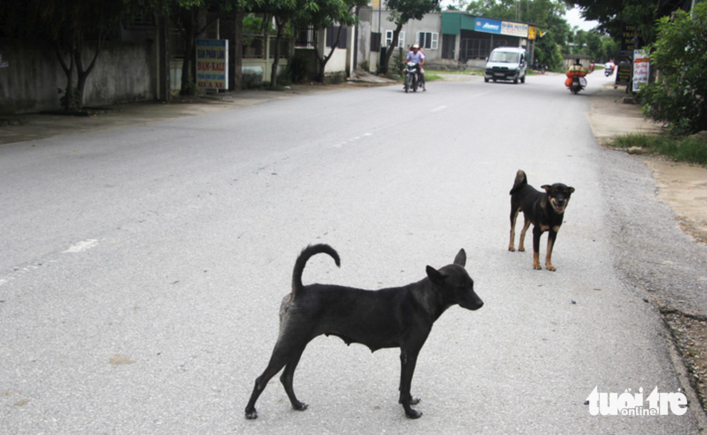 Two children die following suspected dog bite in north-central Vietnam