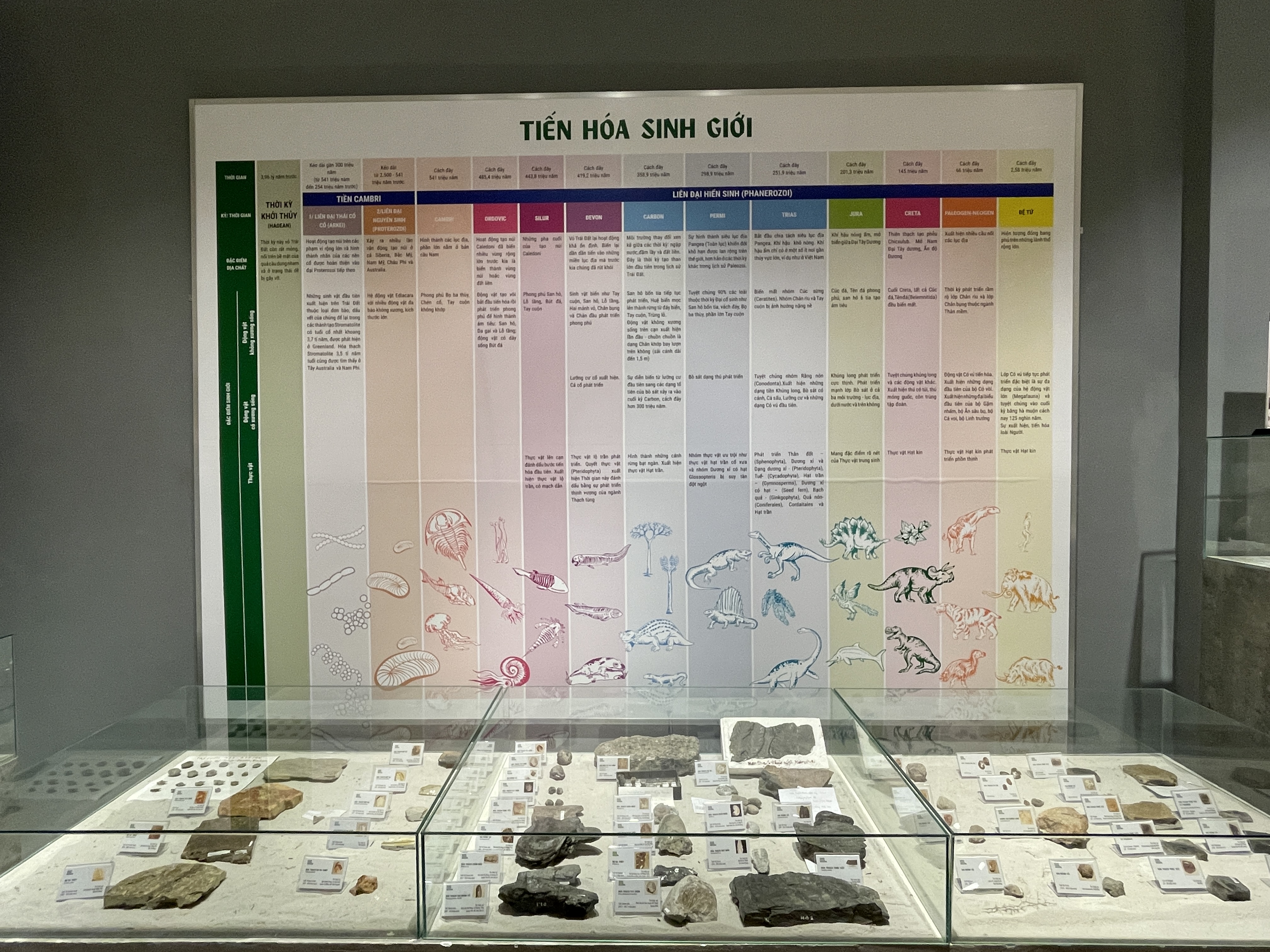 Information about biological evolution on Earth is on display at the exhibition. Photo: Dong Nguyen / Tuoi Tre News