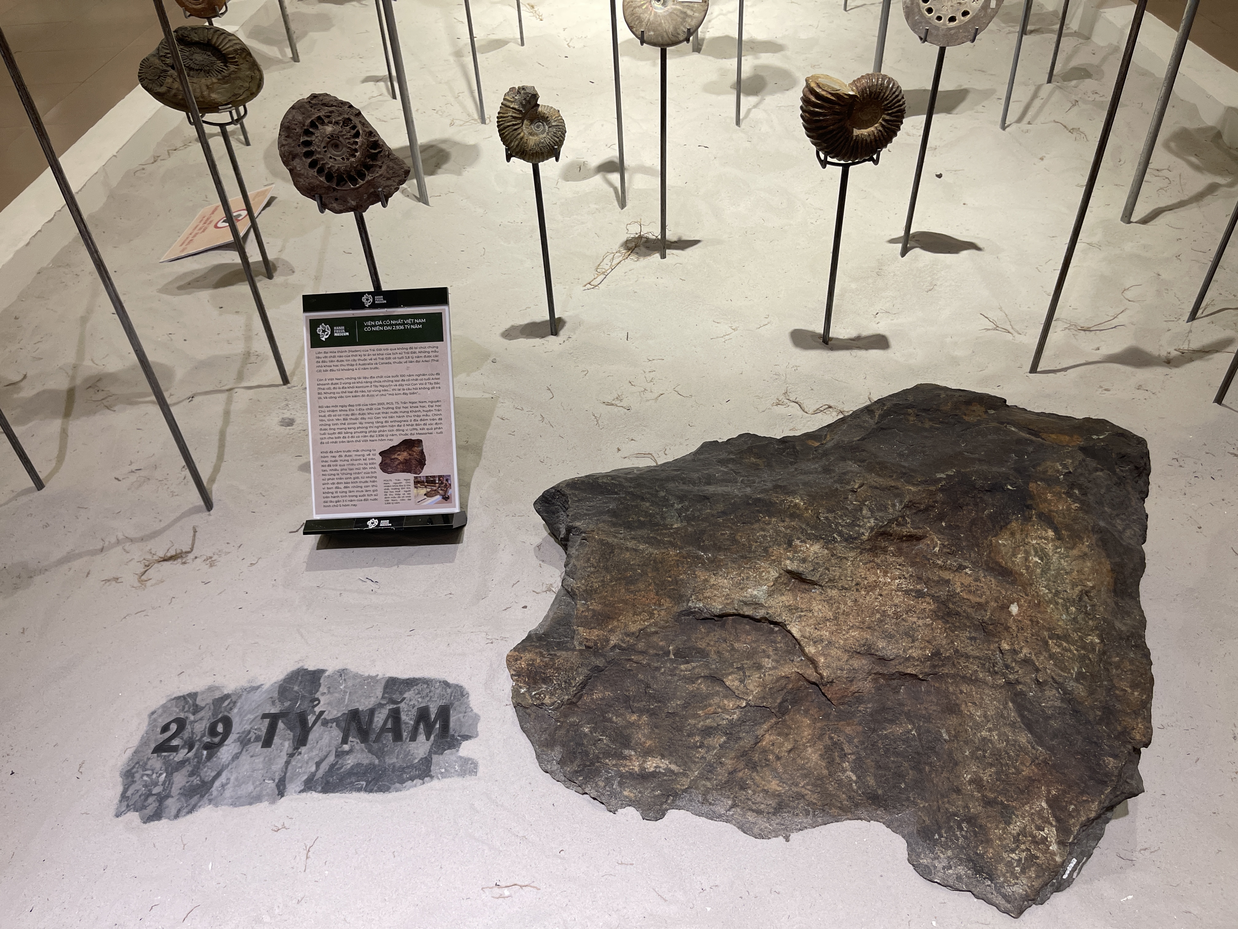 The oldest stone in Vietnam - which is over 2.9 billion years old and was found in the northern province of Yen Bai. Photo: Dong Nguyen / Tuoi Tre News