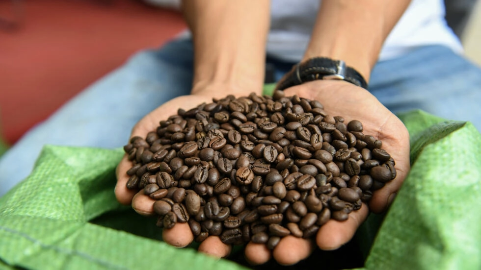 Vietnam's robusta: the go-to coffee bean in a warmer world?