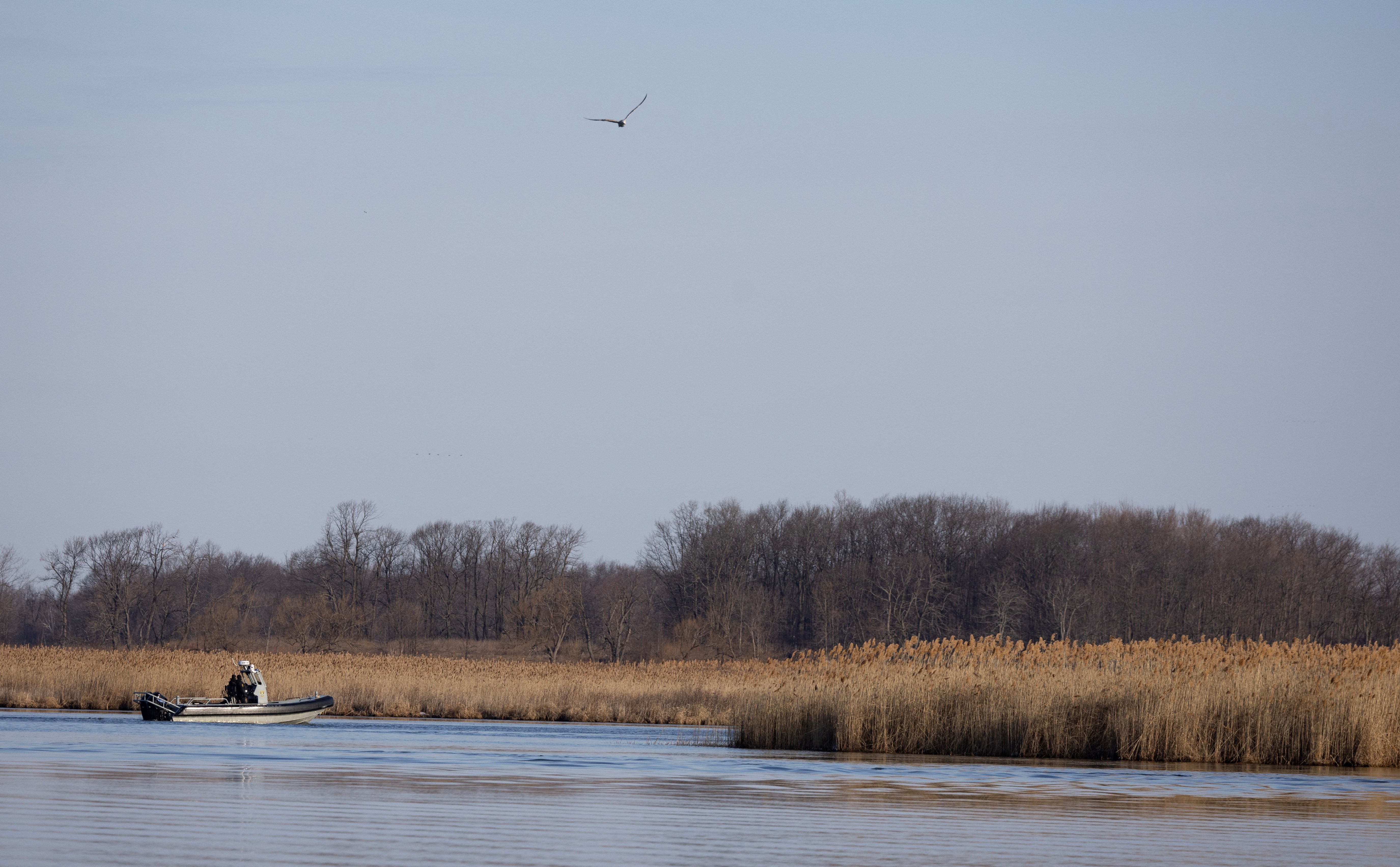 Police search the marshland where bodies were found in Akwesasne, Quebec, Canada March 31, 2023. Photo: Reuters