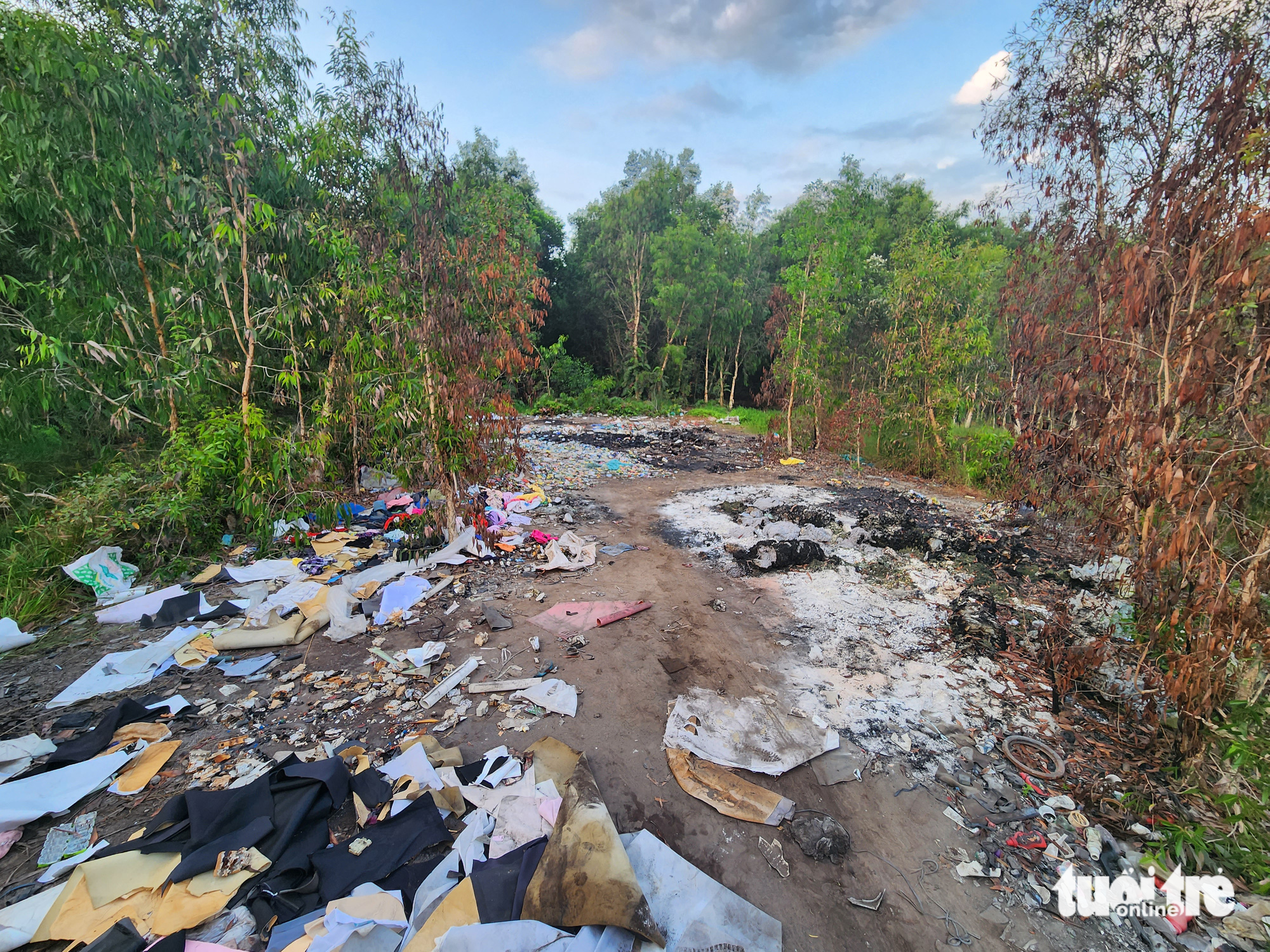 Garbage is dumped near a forest in Binh Chanh District, Ho Chi Minh City. Photo: Tuoi Tre