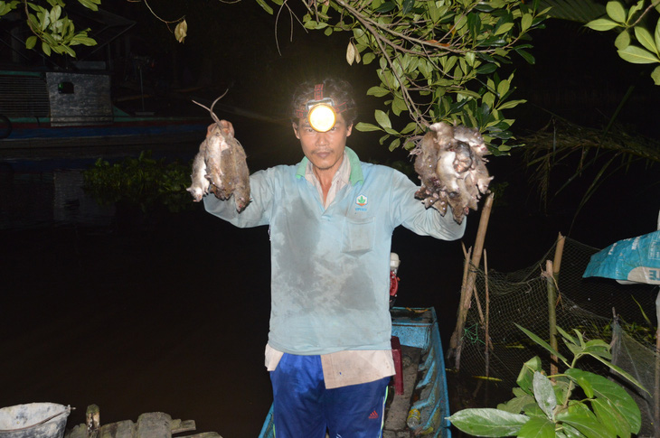 During the peak season of mouse catching, Tien can trap over ten kilograms of mice and earn as much as VND1 million ($42.62) each day. Photo: Khac Tam / Tuoi Tre