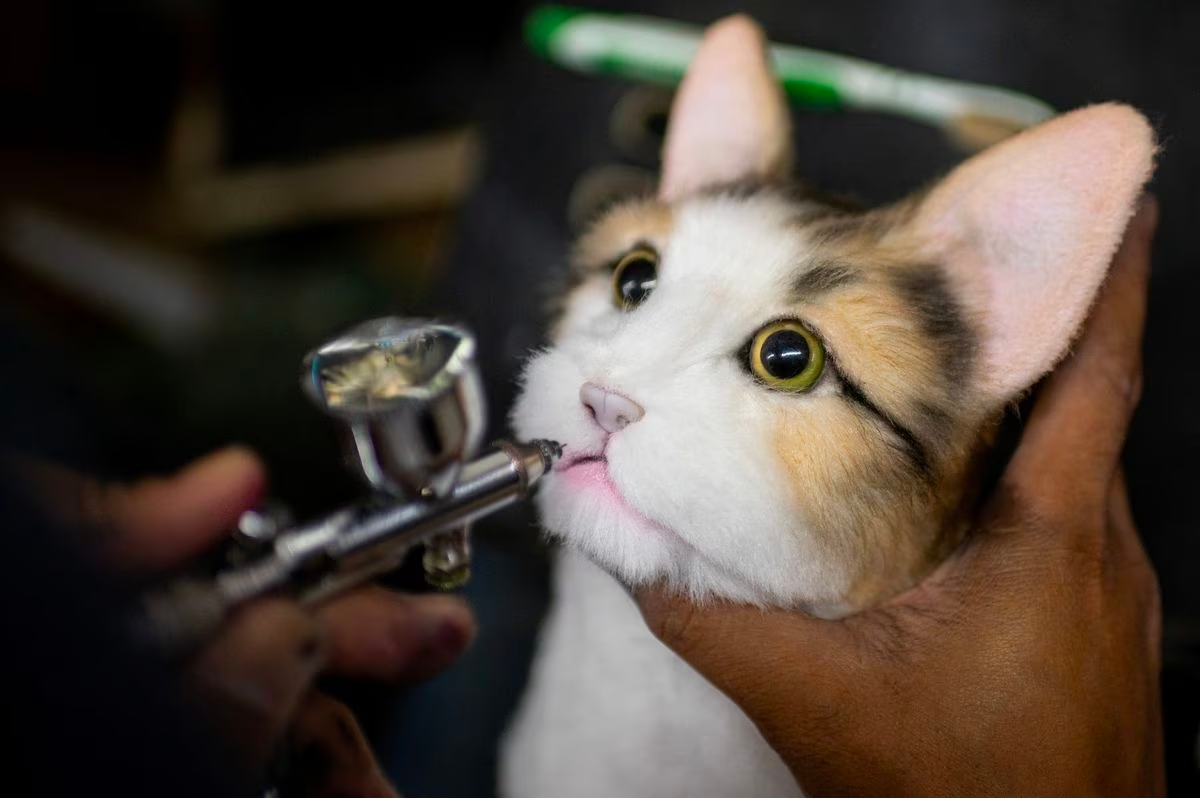 A worker paints the mouth of a realistic pet plushie, at the Pampanga Teddy Bear Factory, in Angeles City, Pampanga province, Philippines, March 10, 2023. Photo: Reuters