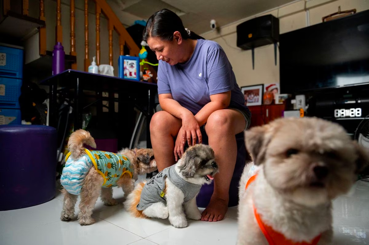 Jaja Lazarte poses for a picture with the realistic pet plushie of her departed dog Kenken and her two other dogs, at her home in Caloocan City, Metro Manila, Philippines, March 23, 2023. Photo: Reuters