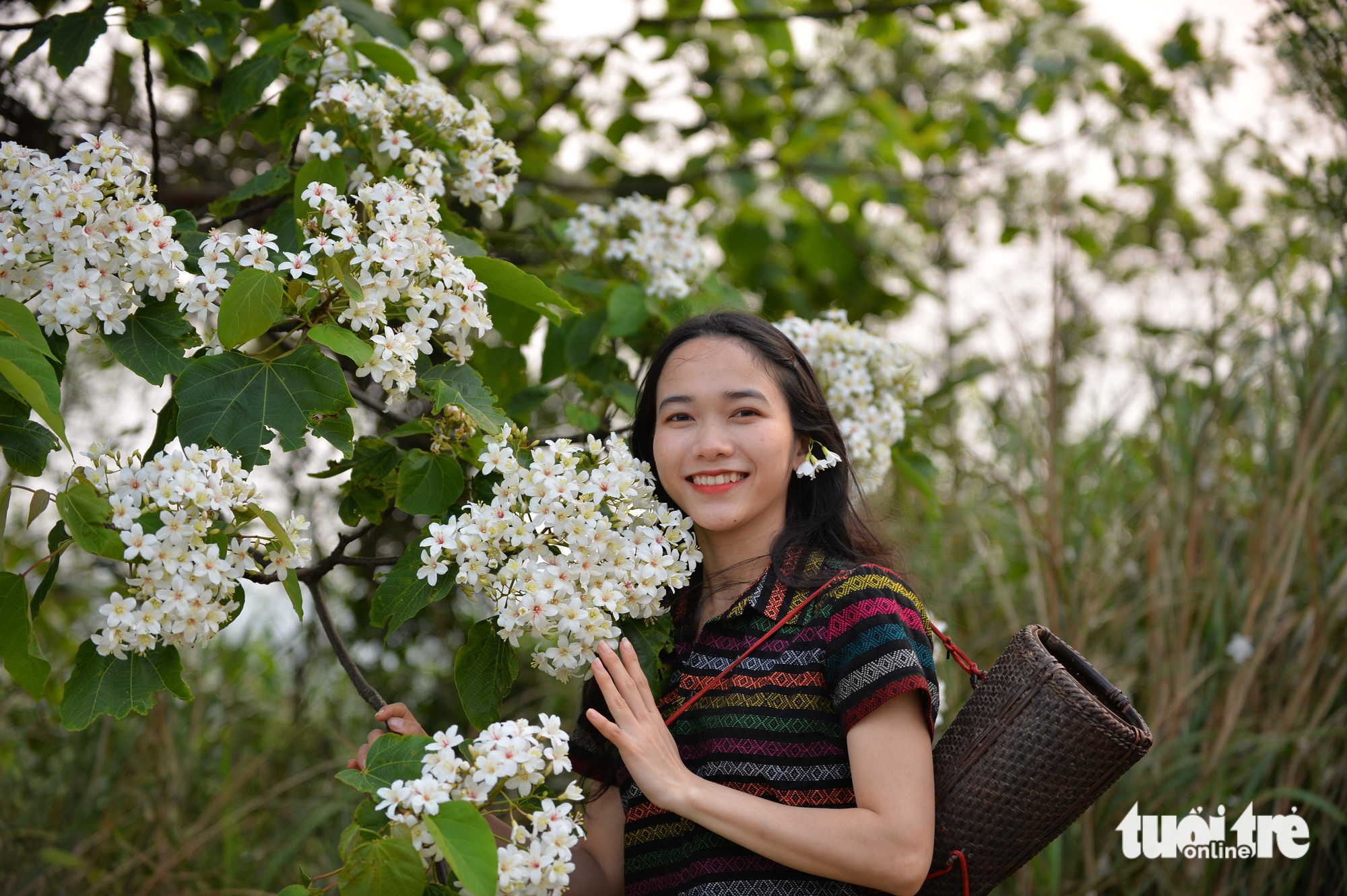 Young woman smiles radiantly while posing for a photo with vernicia flowers. Photo: Tuoi Tre