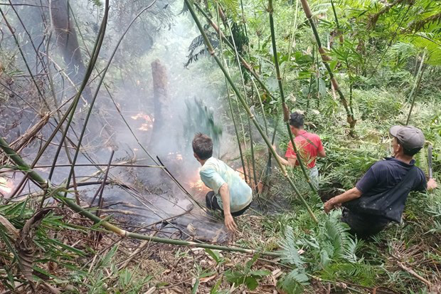 Extreme heat fuels wildfire risk in Vietnam’s northwest