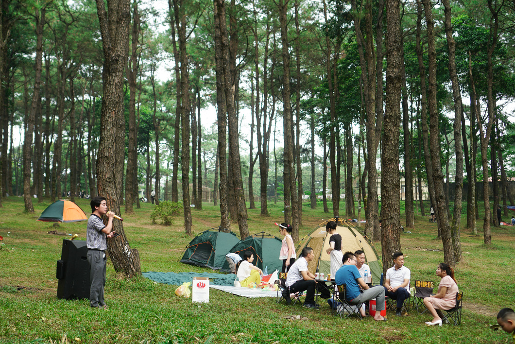 Campers enjoy the Ba Vi pine forest near Hanoi, Vietnam. Photo: Nguyen Hien / Tuoi Tre