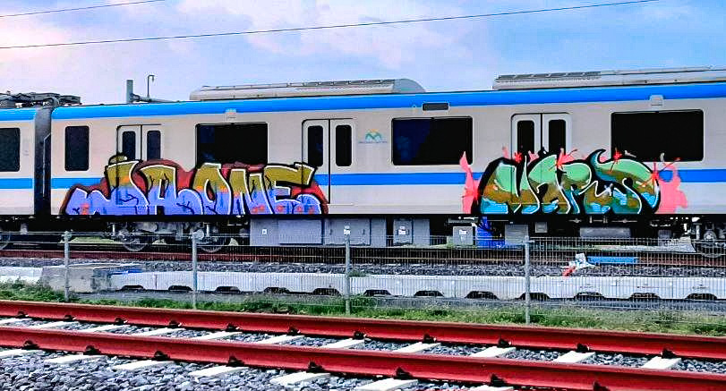 Ho Chi Minh City contemplates new security company following second metro car vandalism